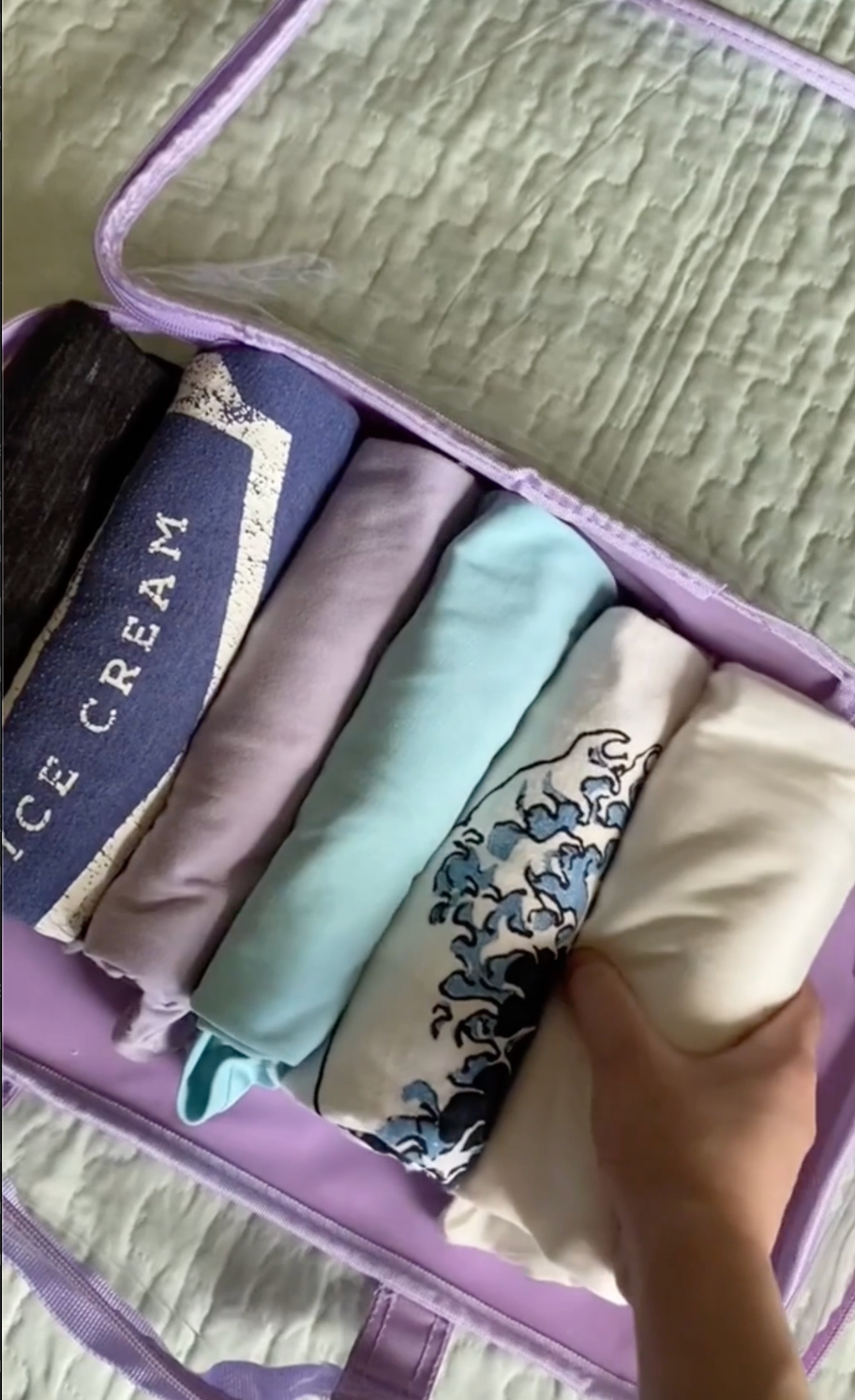 Clear Packing Cubes and Travel Accessories (14PC Set) - VARIANT