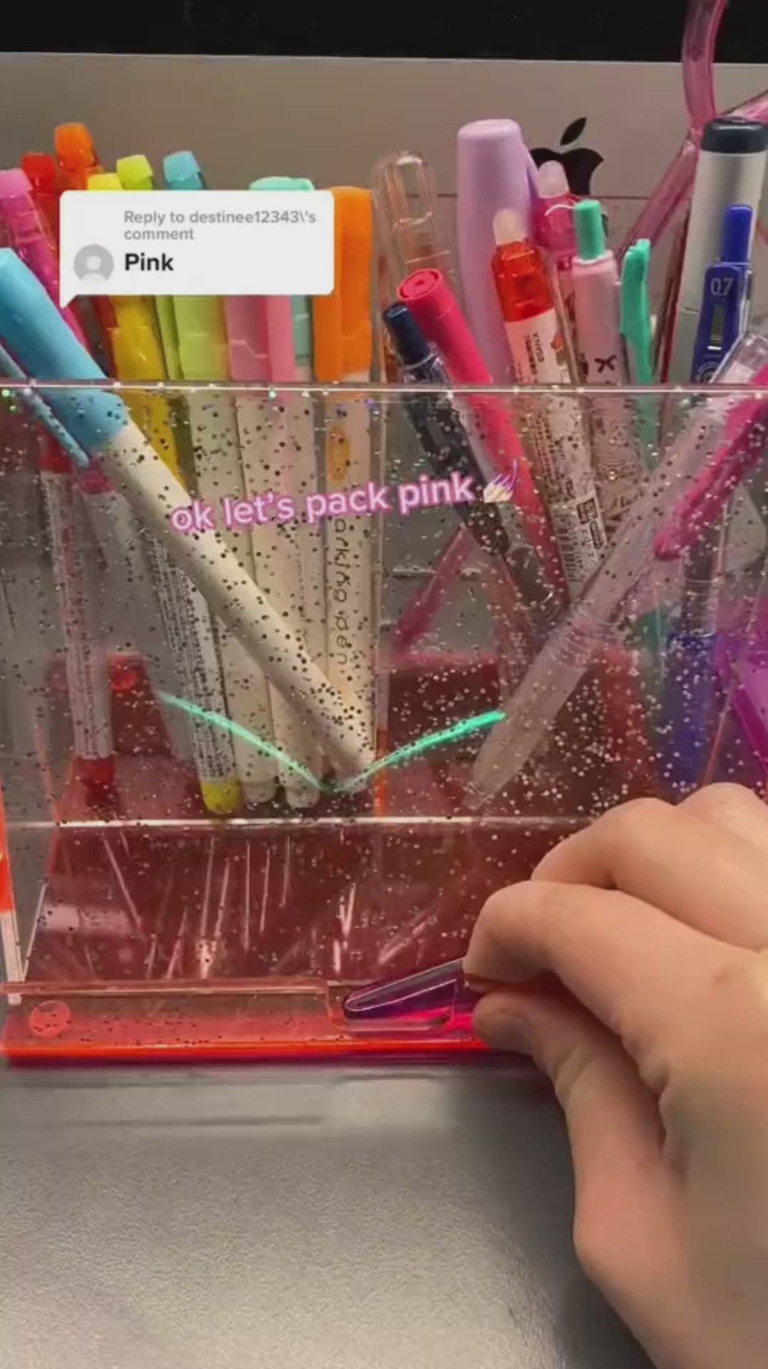 Holographic Clear Makeup Pouch and Pencil Case